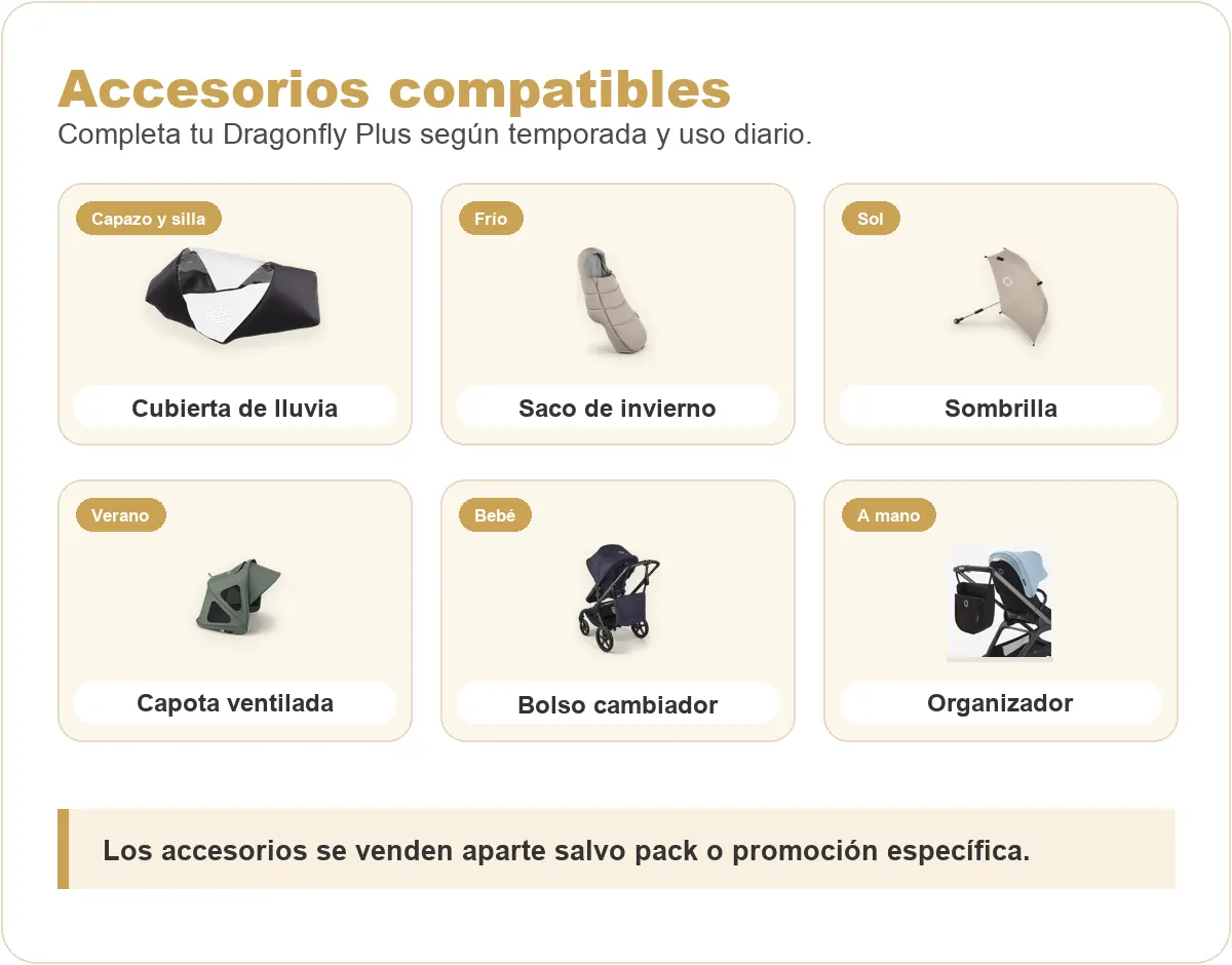 infografia con los accesorios imprescindibles del Dragonfly Plua